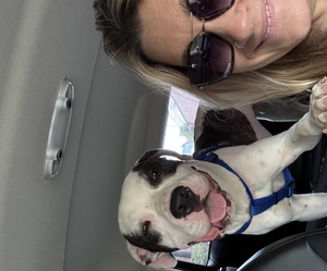 Monique de l’Etoile